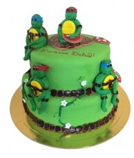 Торт черепашки ниндзя зеленые герои