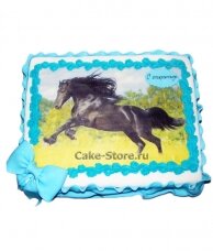 Торт с фотопечатью лошади