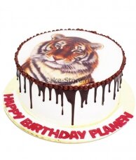 Торт с рисунком тигра